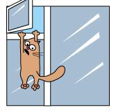 Как помочь кошке, выпавшей из окна?